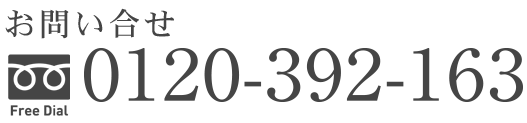 0120-392-163